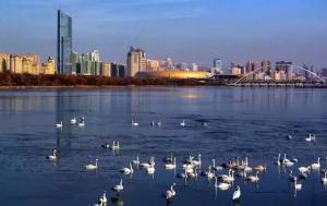 三門峽又一網紅景點，確定不來pick一下？